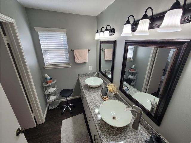 11630 Briar Rose Drive, Houston, TX 77077