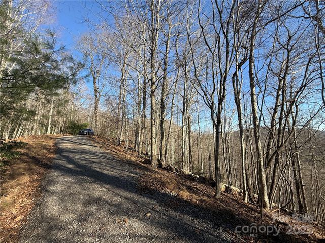 Lot 18 Bugs Bunny Lane 18, Waynesville, NC 28785