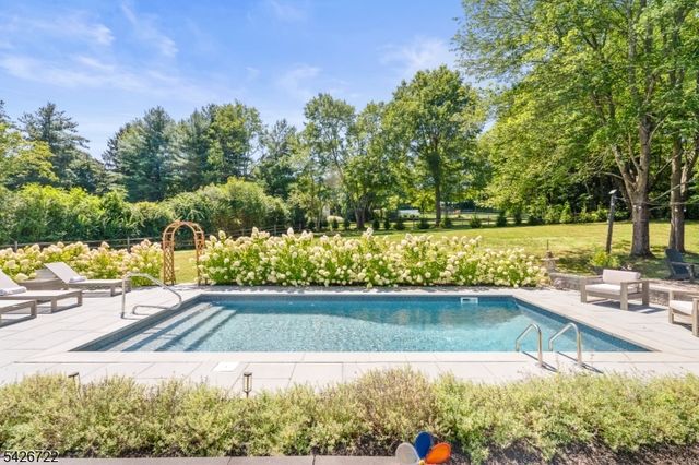 17 Drake Rd, Mendham Boro, NJ 07945
