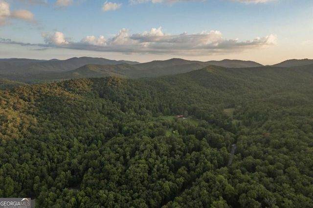 140 Black Oaks Road, Cherry Log, GA 30522