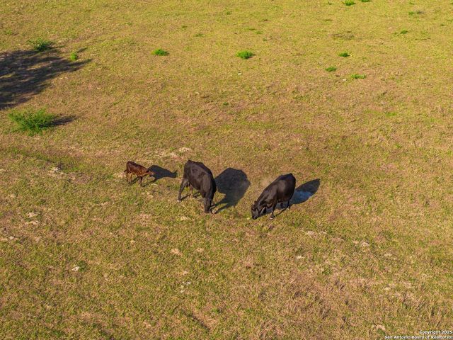 2680 County Road 342, La Vernia, TX 78121