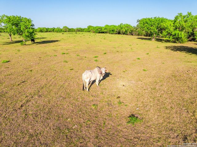 2680 County Road 342, La Vernia, TX 78121