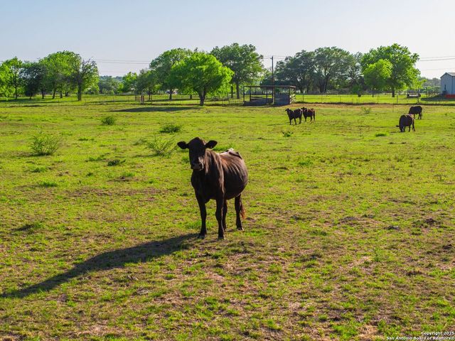 2680 County Road 342, La Vernia, TX 78121