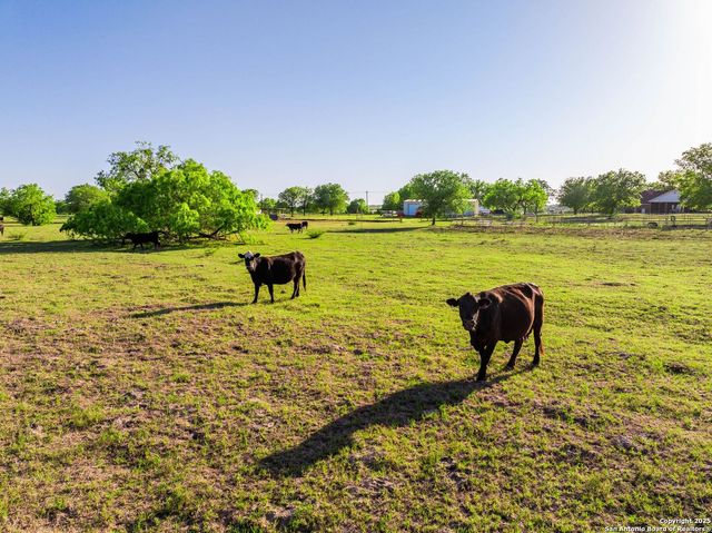 2680 County Road 342, La Vernia, TX 78121