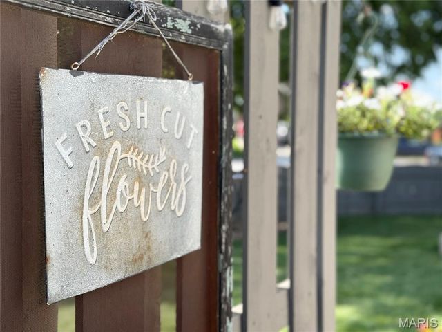 10918 Fallowfield Drive, Lebanon, IL 62254