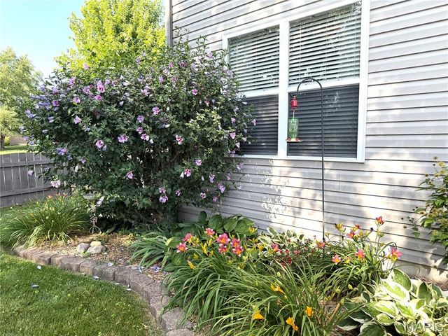 10918 Fallowfield Drive, Lebanon, IL 62254