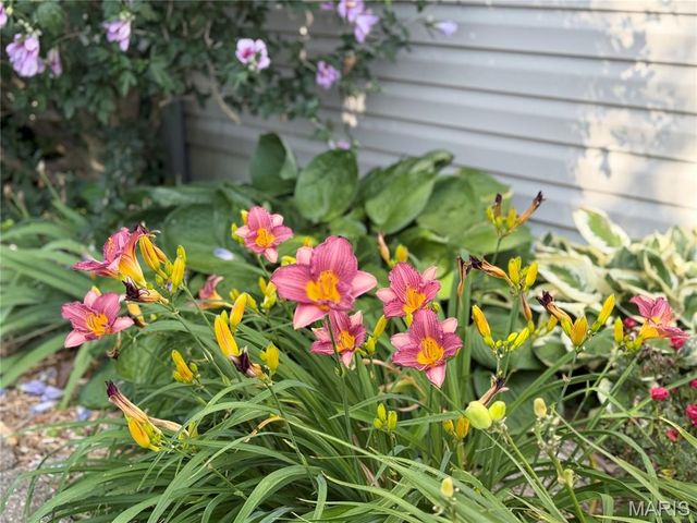 10918 Fallowfield Drive, Lebanon, IL 62254