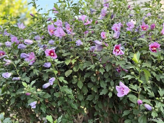 10918 Fallowfield Drive, Lebanon, IL 62254