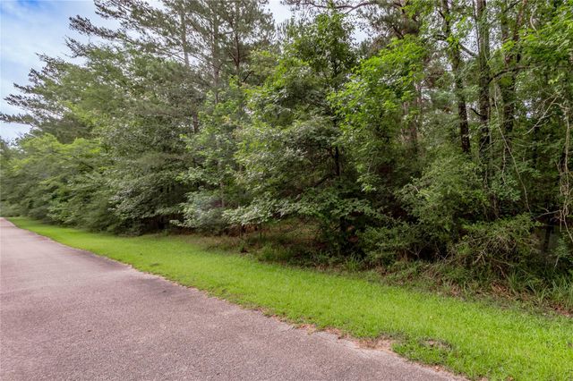 Lot 04 Sweetgum Drive, Trinity, TX 75862