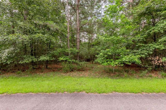 Lot 04 Sweetgum Drive, Trinity, TX 75862