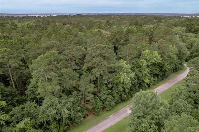 Lot 04 Sweetgum Drive, Trinity, TX 75862