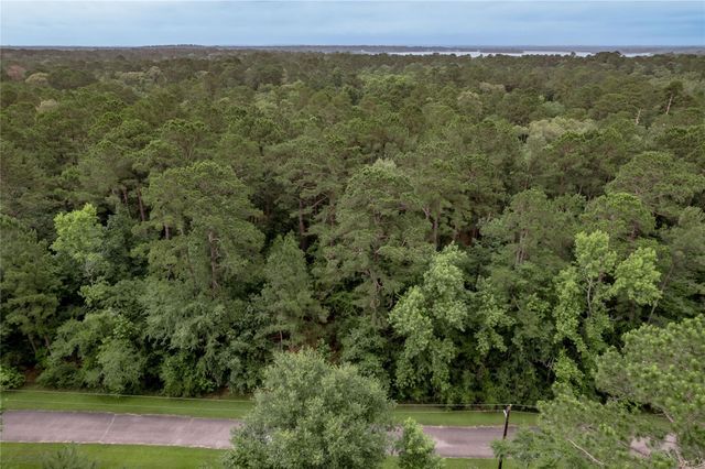 Lot 04 Sweetgum Drive, Trinity, TX 75862