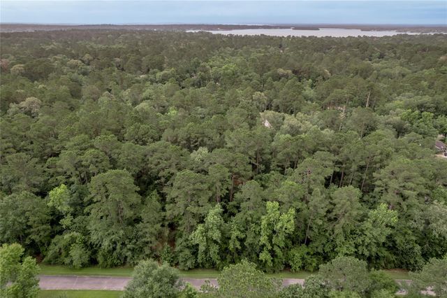 Lot 04 Sweetgum Drive, Trinity, TX 75862