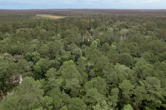 Lot 04 Sweetgum Drive, Trinity, TX 75862