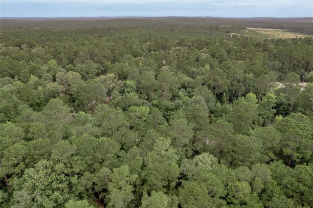 Lot 04 Sweetgum Drive, Trinity, TX 75862