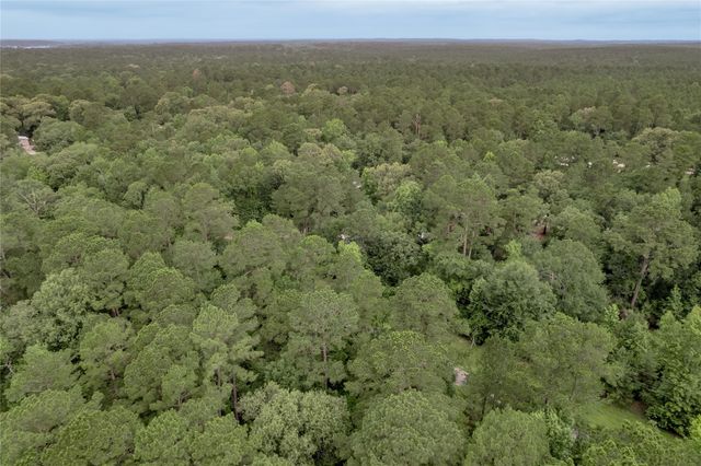 Lot 04 Sweetgum Drive, Trinity, TX 75862
