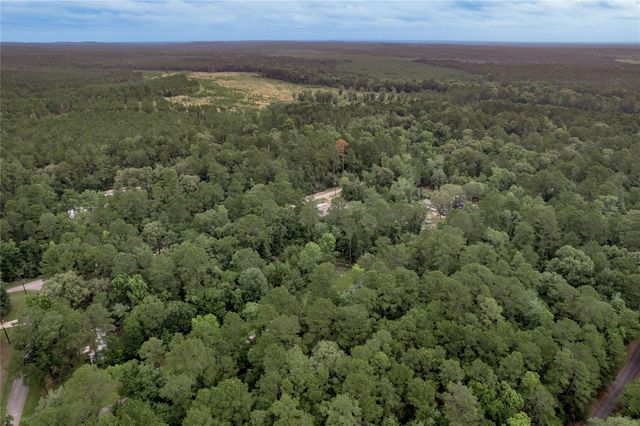 Lot 04 Sweetgum Drive, Trinity, TX 75862