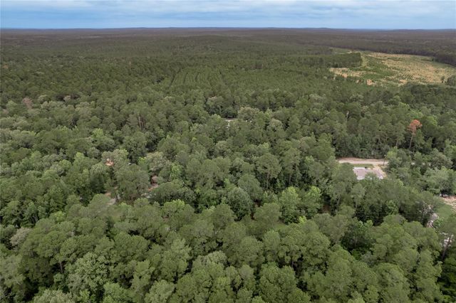 Lot 04 Sweetgum Drive, Trinity, TX 75862