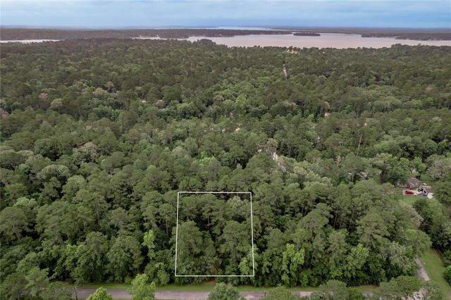 Lot 04 Sweetgum Drive, Trinity, TX 75862