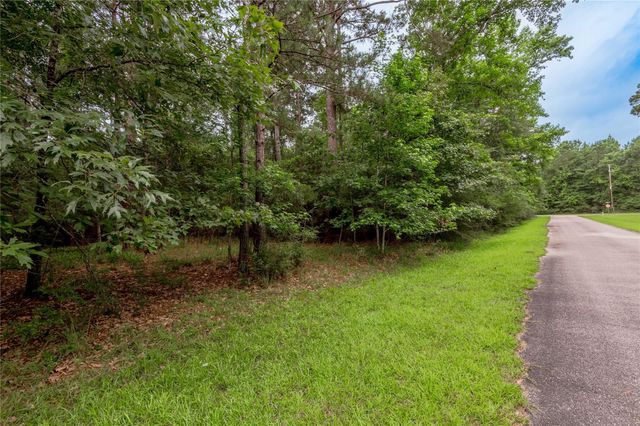 Lot 04 Sweetgum Drive, Trinity, TX 75862