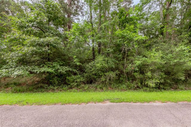 Lot 04 Sweetgum Drive, Trinity, TX 75862