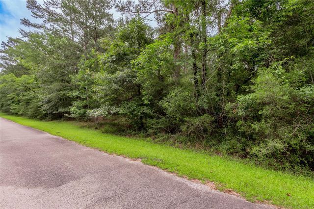 Lot 04 Sweetgum Drive, Trinity, TX 75862