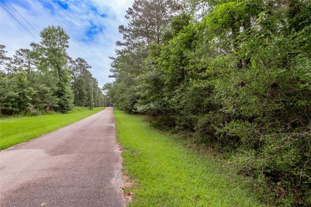 Lot 04 Sweetgum Drive, Trinity, TX 75862