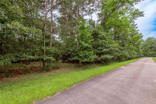 Lot 04 Sweetgum Drive, Trinity, TX 75862