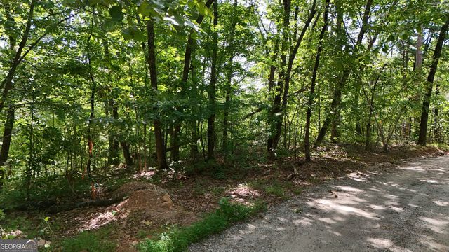 LOT 175 Mountain Crest Drive, Clarkesville, GA 30523