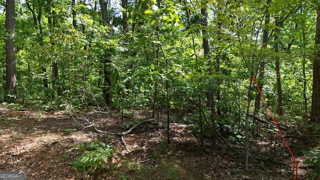 LOT 175 Mountain Crest Drive, Clarkesville, GA 30523