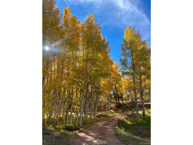 82 S Mountain Estates Rd, Florissant, CO 80816