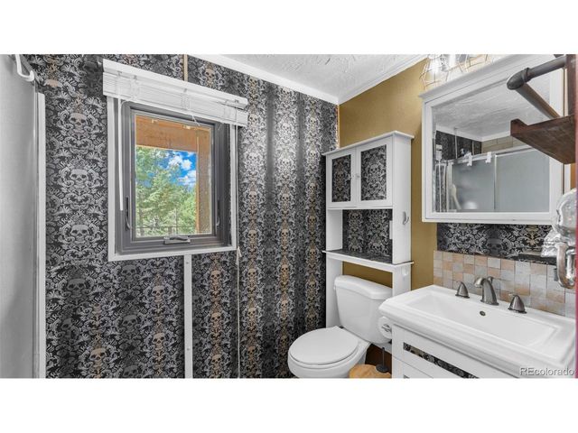 82 S Mountain Estates Rd, Florissant, CO 80816