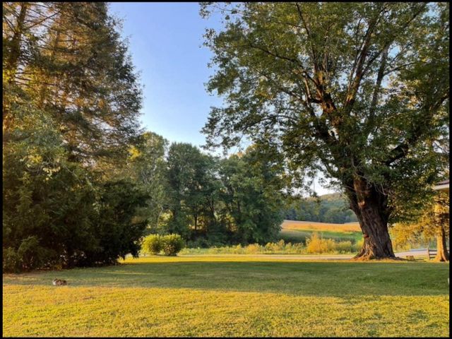 1459 Buck Lick Road, Tollesboro, KY 41189