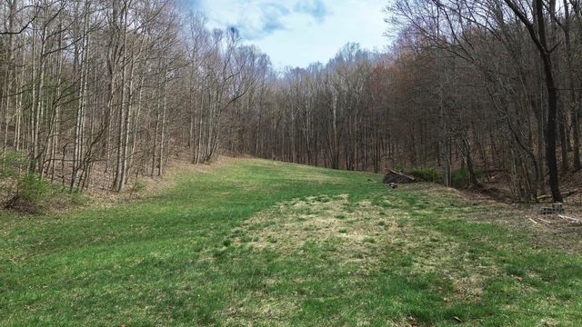 1459 Buck Lick Road, Tollesboro, KY 41189