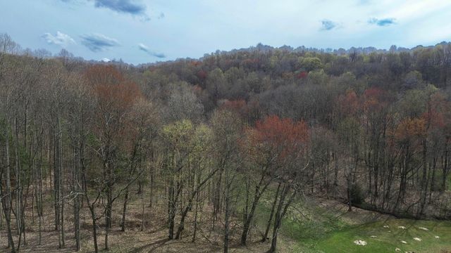 1459 Buck Lick Road, Tollesboro, KY 41189