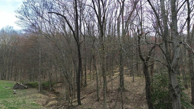 1459 Buck Lick Road, Tollesboro, KY 41189