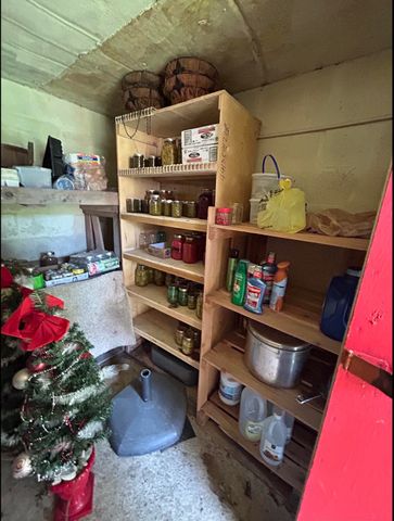 1459 Buck Lick Road, Tollesboro, KY 41189