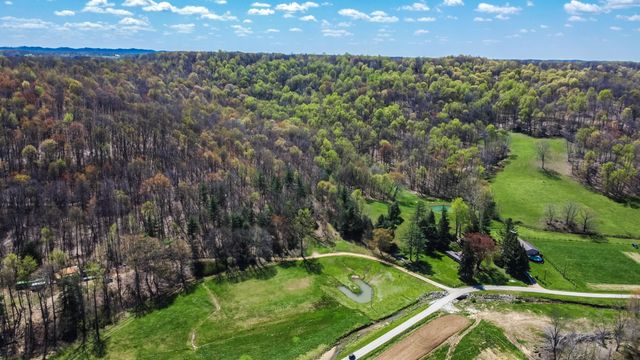 1459 Buck Lick Road, Tollesboro, KY 41189