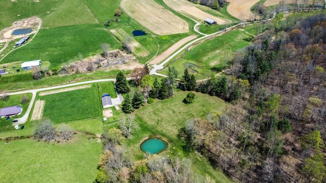 1459 Buck Lick Road, Tollesboro, KY 41189