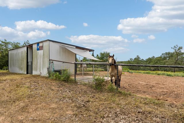 143 W Tanglebriar CT, Bastrop, TX 78602