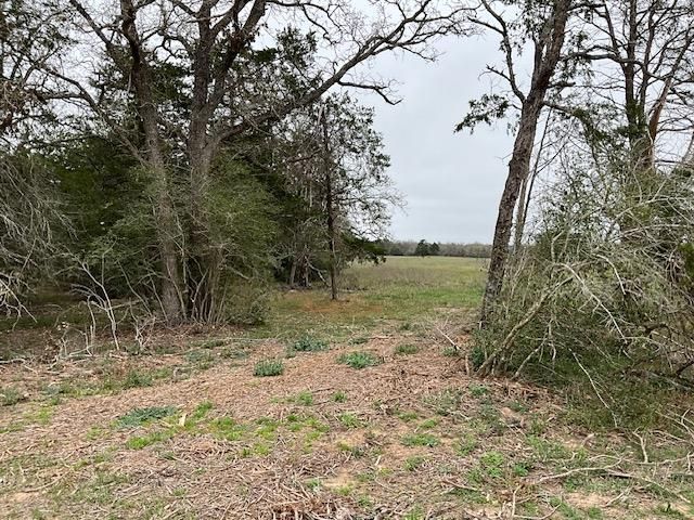 TBD Cedar Rock RD, Rosanky, TX 78953