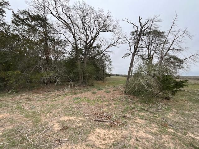 TBD Cedar Rock RD, Rosanky, TX 78953