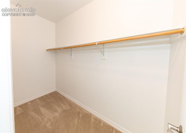 2452 Spanish Oak Terrace, Colorado Springs, CO 80920
