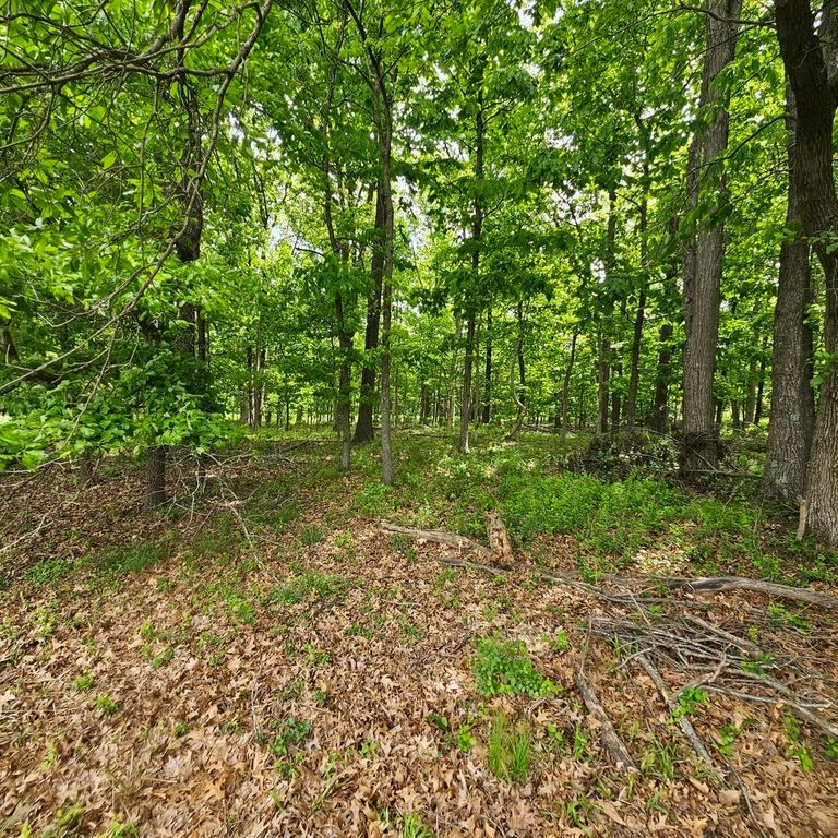 Image 1 of property listing at 4143 Richview Road, Mt Vernon, IL 62864