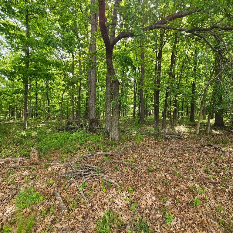 Image 2 of property listing at 4143 Richview Road, Mt Vernon, IL 62864