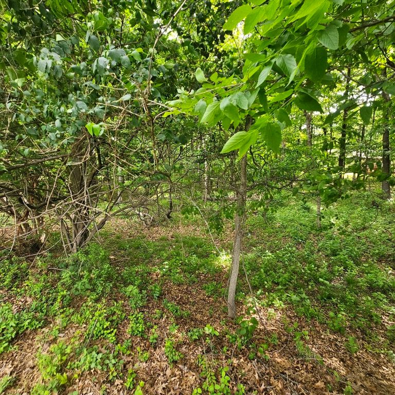Image 4 of property listing at 4143 Richview Road, Mt Vernon, IL 62864