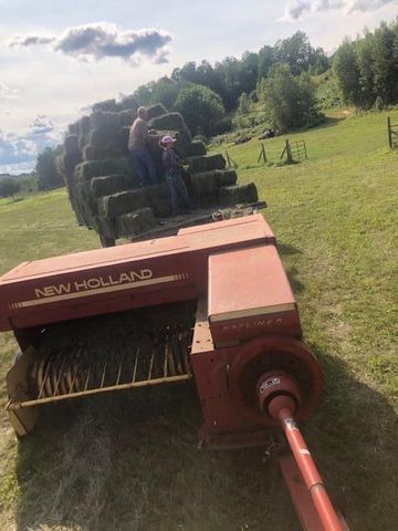 4951 Route 3, Saranac, NY 12981