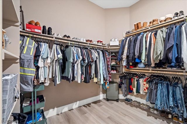 10142 TREE BLOSSOM Avenue, Las Vegas, NV 89166