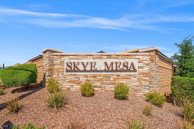 10142 TREE BLOSSOM Avenue, Las Vegas, NV 89166