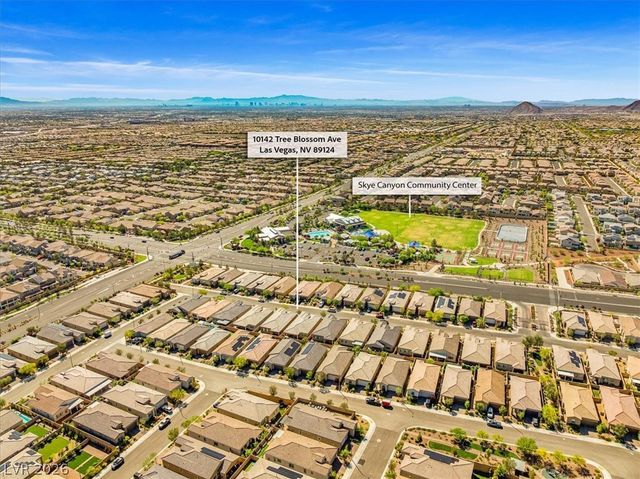 10142 TREE BLOSSOM Avenue, Las Vegas, NV 89166